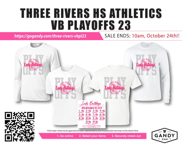 Baseball Team Roster T-Shirt Designs - Gandy Ink